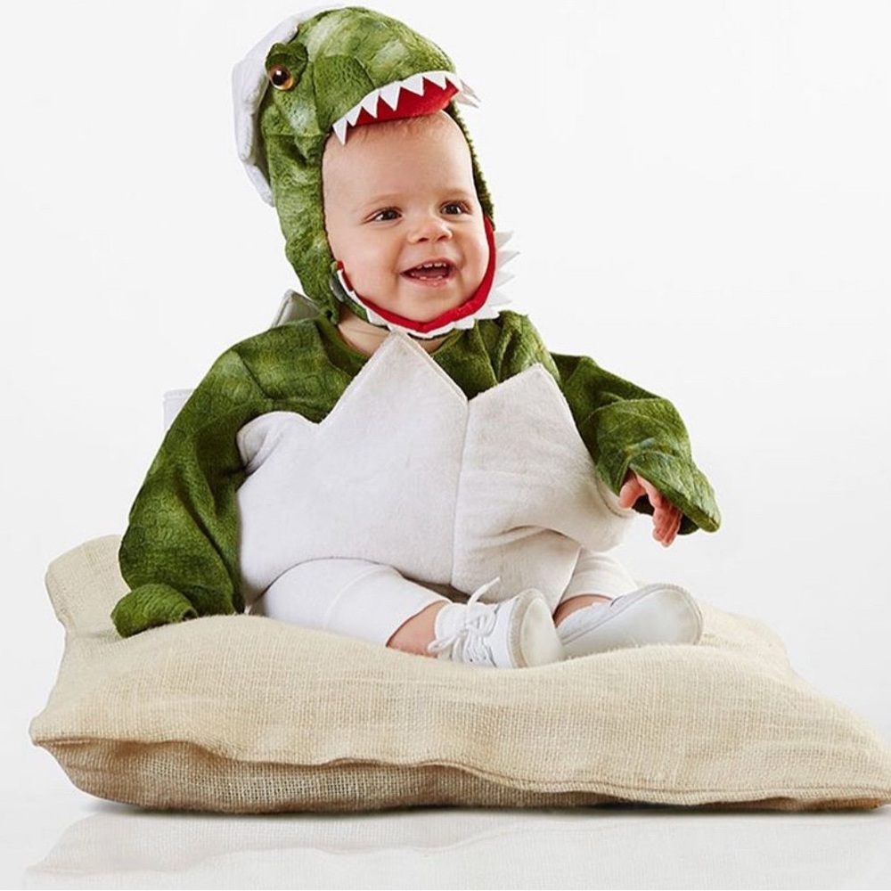 Pottery Barn Kids Green Dinosaur Costume
